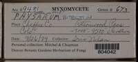 Image Associated With the Occurence